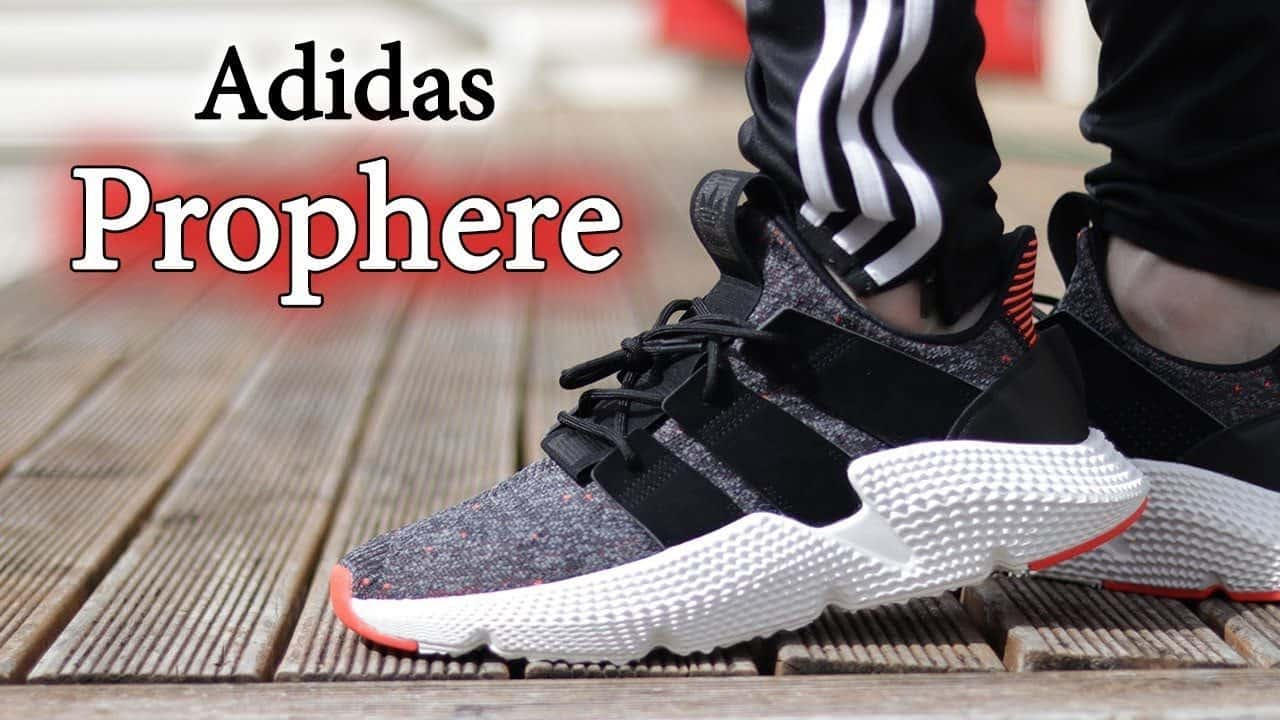 Adidas hotsell prophere avis