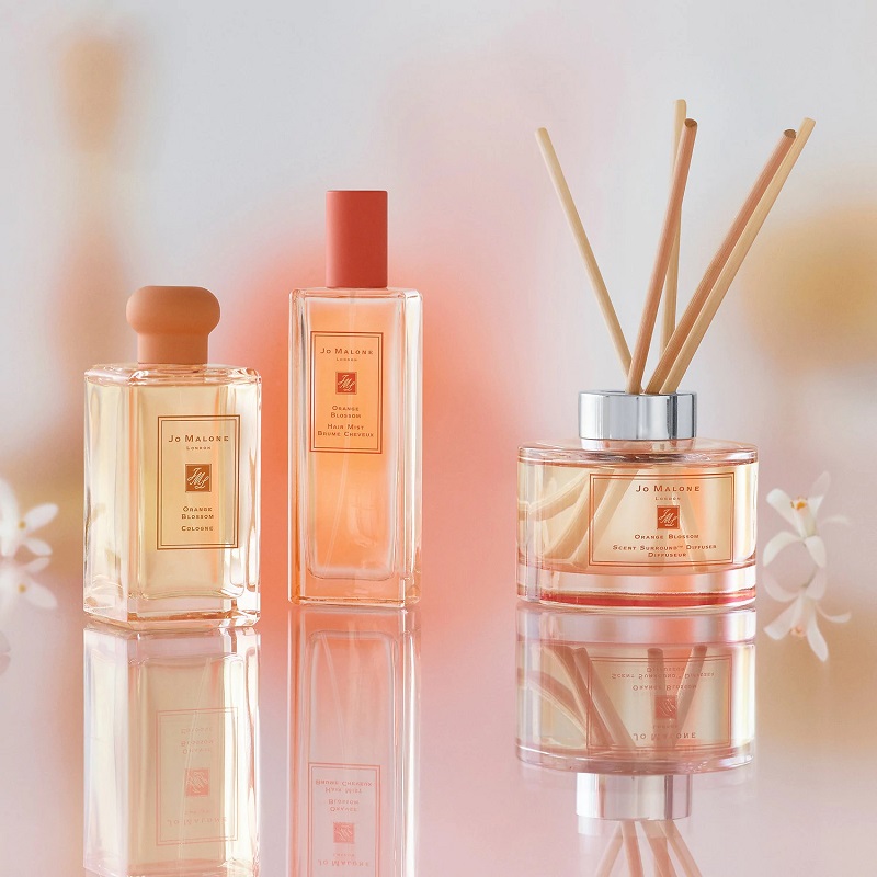 Nước hoa unisex là gì? Những chai nước hoa unisex đình đám